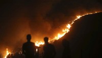 Warga melihat kebakaran hutan yang mendekati kawasan pembangkit listrik di Milas, Mugla, Turki (4/8).