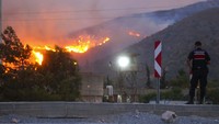 Kebakaran hutan di Turki mendekat kawasan pembangkit listrik berbahan bakar batu bara, Rabu (4/8). Para pemerhati lingkungan khawatir tentang unit penyimpanan batu bara dan polusi udara jika api melalap kawasan pembangkit listrik.