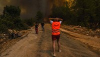 Kebakaran hutan di Turki dipicu oleh suhu tinggi dan angin kering yang kuat.