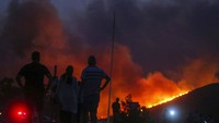 Kebakaran hutan sudah berlangsung selama lebih dari seminggu. Sebanyak 16 lokasi masih terbakar hingga hari ini.
