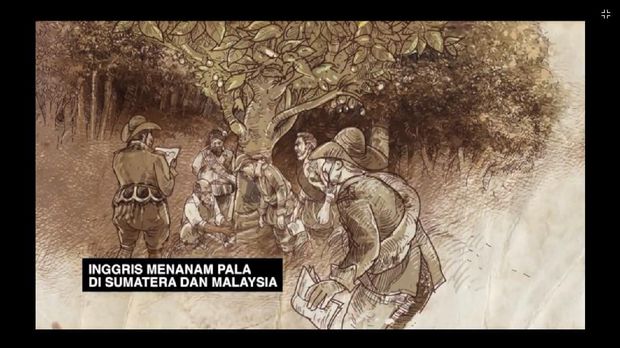 Daya tarik buah pala di Kepulauan Banda, Maluku