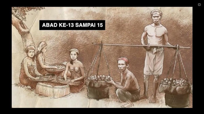 Daya tarik buah pala di Kepulauan Banda, Maluku