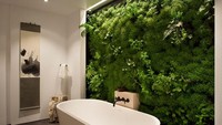 sumber: siolstudios.comVertical garden bisa loh ditempatkan di kamar mandi. Bikin mandi bisa tambah rileks