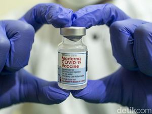 Vaksin Moderna Jatah Nakes Jadi Rebutan Kepala Daerah? Ini Kata Kemenkes