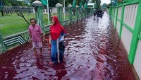 Dia mengatakan, pembangunan lanjutan sodetan Ciliwung mengalami perubahan trase sehingga mengurangi panjang terowongan 113 meter dari panjang semula 662 meter menjadi 549 meter saja. Pekerjaan sodetan akan segera dimulai dan menyisakan pembebasan 6 bidang tanah seluas 10.494 m2 yang akan dieksekusi oleh Kantor Badan Pertanahan Nasional (BPN) setempat. SHAKA/AFP via Getty Images.