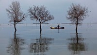 Perlu diketahui Lembaga non-profit independen yang fokus pada isu perubahan iklim, Climate Central, membuat peta proyeksi wilayah DKI Jakarta yang tenggelam pada 2030. Ulet Ifansasti/Getty Images.