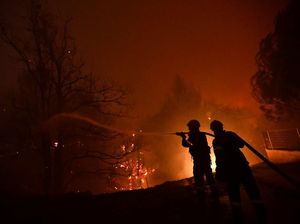 Kebakaran Hutan di Yunani, Warga Dievakuasi Pakai Kapal Feri