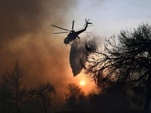 Video Ganasnya Kebakaran Hutan di Tunisia