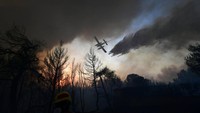 Sebuah pesawat menjatuhkan air selama kebakaran hutan di daerah Kryoneri, Athena utara, Yunani, Kamis, 5 Agustus 2021. AP/Michael Varaklas.