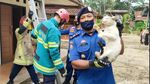 Aksi Tak Biasa Damkar: Evakuasi Sarang Tawon, Cincin hingga Kartu ATM