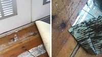 sumber: ejk9192/redditEntah kreatif atau malas, pemilik rumah ini sebelumnya menutupi celah di papan lantainya dengan kaleng makanan bekas yang diratakan.