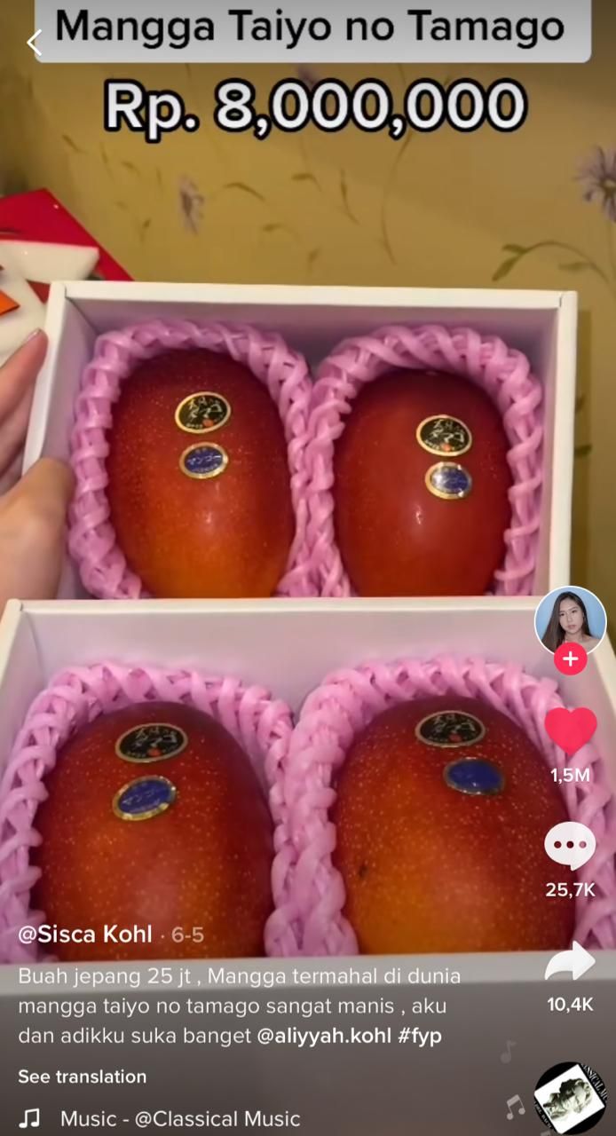 Sisca Kohl Cicip 5 Buah 'Sultan' Jutaan Rupiah, Ada Melon Rp 10 Juta!