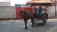 Penumpang yang biasanya merupakan keluarga dan mau berkeliling kota Kudus, sekarang menurun drastis. Apalagi kondisi tengah pandemi COVID-19. (Dian Utoro Aji/detikTravel)