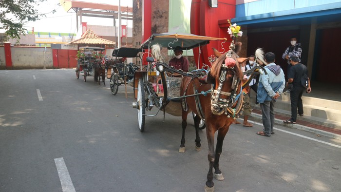 Andong di Kabupaten Kudus, Jawa Tengah tetap bertahan dari hantaman pandemi virus Corona atau COVID-19. Kusir andong pun bercerita sehari sempat pernah tidak mendapatkan penumpang sama
