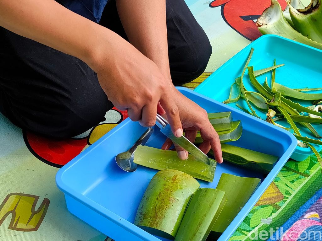 Proses pengolahan lidah buaya menjadi aneka santapan di Galery De Cends Aloe Vera miliknya di Kalurahan Sidomulyo, Kapanewon Pengasih, Kulon Progo, Jumat (6/8/2021)