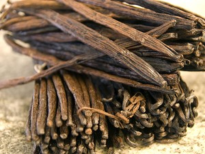 Disebut Berasal dari Dubur Berang-berang, Vanili Harganya Rp 12 Juta Per Kilogram