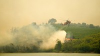 Helikopter membawa air dari Danau Marathon untuk memadamkan api di kebakaran hutan Pulau Evia,Yunani, (6/8). AP Photo/Thanassis Stavrakis  
