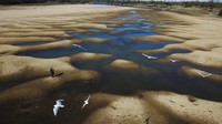 Burung terbang di atas Sungai Parana Lama, Argentina (29/7). Aliran sungai Parana mencakup kebutuhan air hingga 40 juta warga di Amerika Selatan. AP Photo/Victor Caivano  
