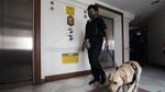 BNN Periksa Apartemen untuk Cegah Peredaran Narkoba