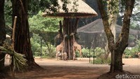 Pihak Bagoza berharap lokasi wisata ini bisa kembali dibuka setelah sekian lama ditutup karena aturan PPKM.