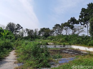 Terbengkalai dan Angker, Kolam Renang Singandaru Kerap Didatangi Petapa