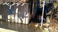 Hal itu karena rumah sudah terendam air laut dan tidak layak ditempati.