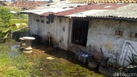 Seperti diketahui Kepala Laboratorium Geodesi dari ITB, Dr Heri Andreas memprediksi Kota Pekalongan, Demak dan Semarang terancam tenggelam. Permasalahan yang dihadapi hampir sama, yaitu soal massifnya pengambilan air tanah dan kondisi tanahnya yang merupakan sedimen aluvial.