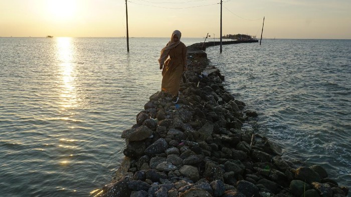 Mushuk bilan jinsiy aloqa video