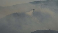 Lebih dari 1.450 petugas pemadam dikerahkan untuk memadamkan kebakaran yang terjadi di hutan Yunani.