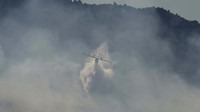 Pesawat mengjatuhkan air untuk memadamkan kebakaran hutan di Tatoi, Yunani, Sabtu (7/8) waktu setempat.