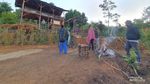 Menikmati Oemah Kayu Embun yang Cantik di Bukit Barisan Jambi