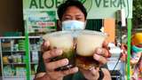 Olahan Unik Lidah buaya Khas Kulon Progo Jadi Cendol dan Isian Lumpia