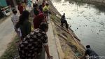 Ribuan Ikan Keting Mendadak Muncul di Sungai Cikeruh Bandung