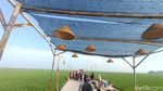 Foto: Kampung Plawad, Sawah Cantik untuk Dikunjungi di Karawang