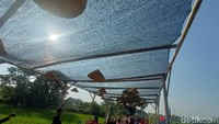 Ke depannya, pemuda kampung Plawad berharap pengembangan Tegalan Plawad ini bisa dibantu oleh pemerintah kabupaten Karawang, dengan memberikan dukungan melalui fasilitas yang ada. (Yuda Febrian Silitonga/detikTravel)
