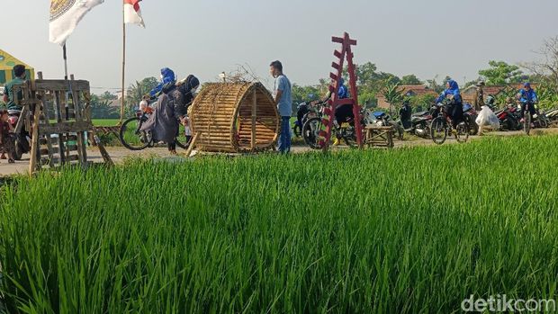 Ubah Tegalan Sawah Jadi Spot UnikKampung Plawad Kini Jadi Populer Dikunjungi Warga