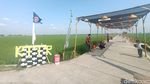 Foto: Kampung Plawad, Sawah Cantik untuk Dikunjungi di Karawang