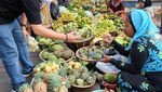 Achmad Zaky Jadi Orang Terkaya di Indonesia, Ini Momennya Saat Lomba Makan Kerupuk