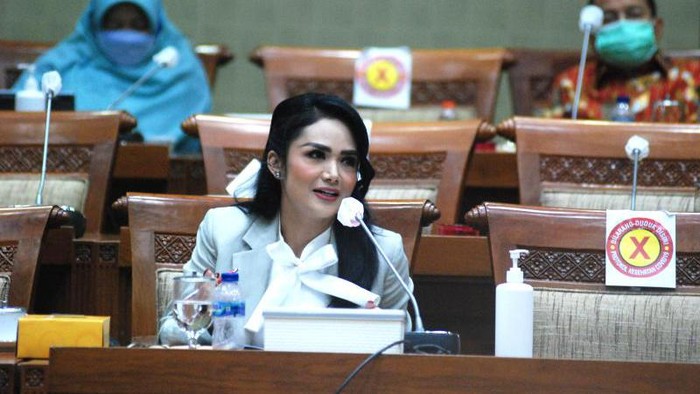 Anggota Komisi IX DPR Krisdayanti