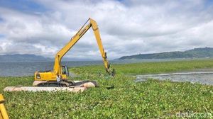 Danau Tondano Masuk 15 Danau Prioritas Penyelamatan: Dipenuhi Eceng Gondok