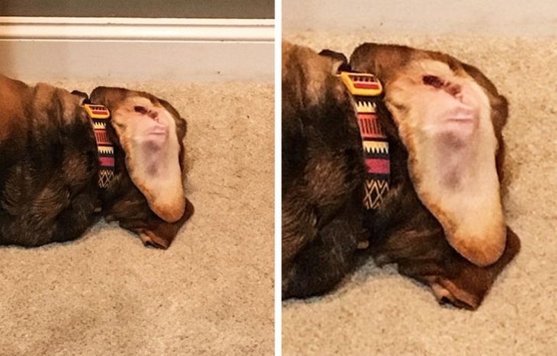 Foto yang mengecoh mata