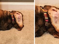 Hati-hati! Deretan Foto Ini Bikin Mata Terkecoh