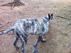 Hati-hati! Deretan Foto Ini Bikin Mata Terkecoh