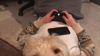 Manusia berkepala anjing. Foto: dok Bright SIde