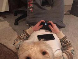 Hati-hati! Deretan Foto Ini Bikin Mata Terkecoh