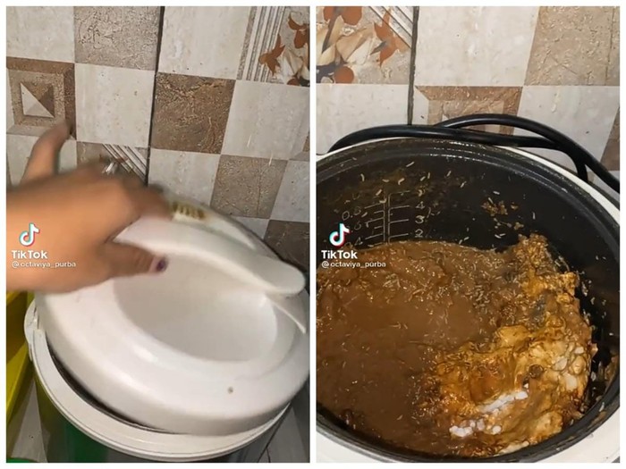 Magicom belatungan Jijik! Ditinggal Berbulan-bulan, Rice Cooker Ini Penuh Belatung