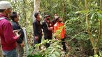 Pelatihan Budidaya Jernang Bernilai Ekonomis Tinggi