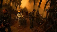 Diketahui, sejumlah negara dilaporkan turut membantu Yunani memadamkan kebakaran hutan tersebut. Presiden Prancis Emmanuel Macron mencuit lewat Twitternya bahwa dia telah berbicara dengan Perdana Menteri Yunani Kyriakos Mitsotakis tentang krisis tersebut. Dia memastikan pihaknya telah mengerahkan tambahan pemadam kebakaran beserta 3 pesawat pemadam ke Yunani. Mesir juga diperkirakan akan mengirimkan dua helikopter dan Spanyol satu pesawat Canadair.
