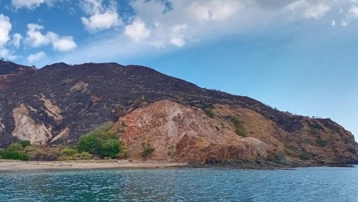 Sabana Laju Pemali di kawasan Taman Nasional Komodo, Manggarai Barat, NTT, terbakar pada Sabtu (7/8). Api telah dipadamkan (ANTARA/Ho-Balai Taman Nasional Komodo)