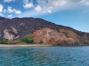 Gerak Cepat Pemadaman Kebakaran di Pulau Komodo Diapresiasi